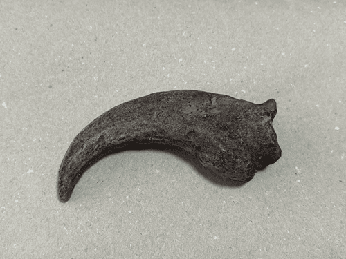 Uña Velociraptor (extremidad superior)